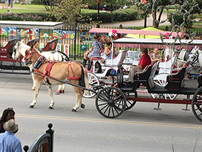 An image from New Orleans French quarter from our Album