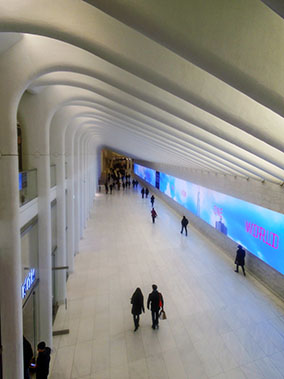 An image from New York from our album