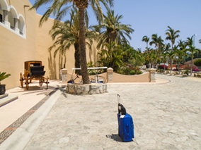 An image from our Los Cabos album