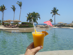 An image from our Los Cabos album