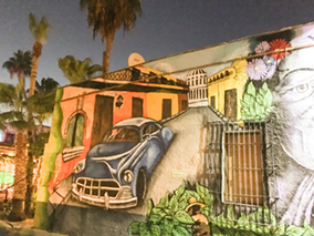 An image from our Los Cabos album