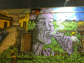 An image from our Los Cabos album