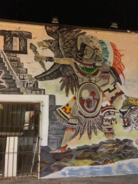 An image from our Los Cabos album