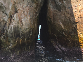 An image from our Los Cabos album