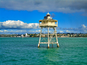 The image from Auckland