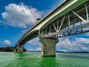 The image from Auckland