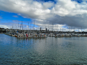 The image from Auckland