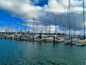 The image from Auckland