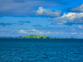 The image from Auckland