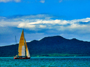 The image from Auckland