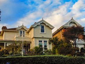 The image from Auckland