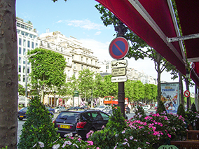 An image from Paris France, from our Album