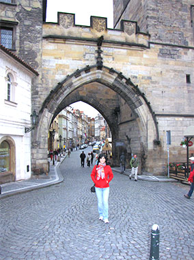 The Charles Bridge