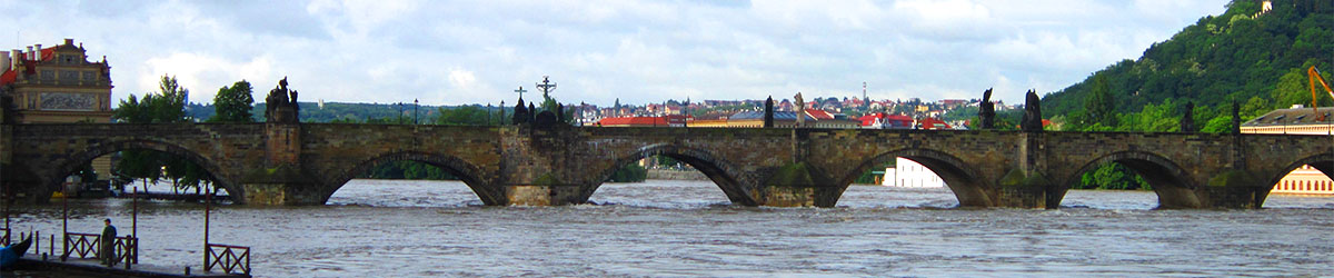 The Charles bridge.