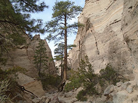 An image from Pueblos & Reservations from our albums