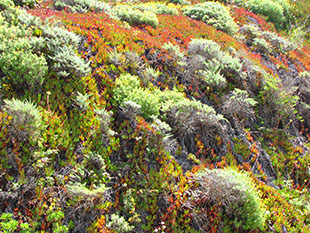The image of the mountain side landscape along the route 1 road