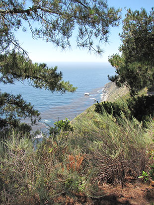 The image from the route 1