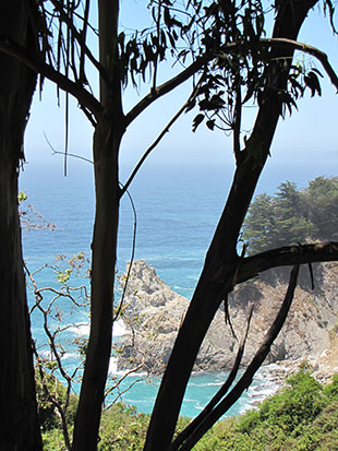 The image from the route 1