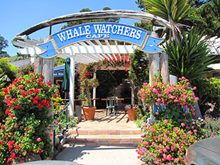 One of cafee bars on the route