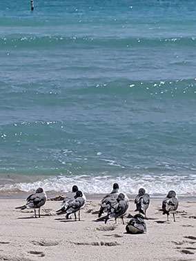 An image from West Palm from our album