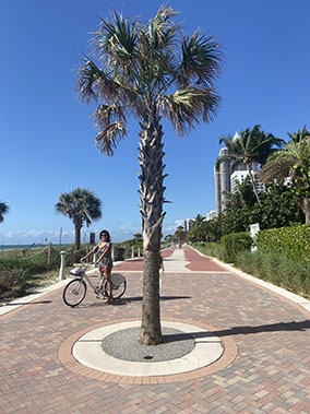 An image from Miami from our album