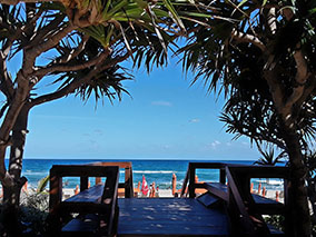 An image from West Palm from our album