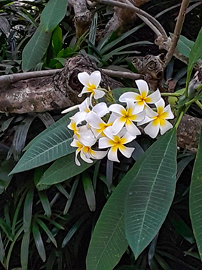 Images of Singapore Marina Bay at night!