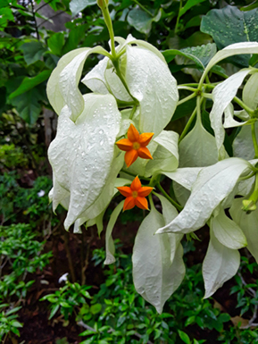 Images of Singapore Marina Bay at night!