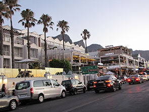 Image of pengins at the Boulders beach