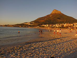 Image of pengins at the Boulders beach
