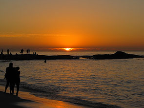 Image of pengins at the Boulders beach