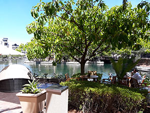 Images from the Cape Town’s Canal Cruise