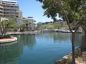 Images from the Cape Town’s Canal Cruise