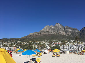 Image of pengins at the Boulders beach