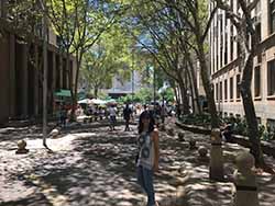 Johannesbourg: the center.