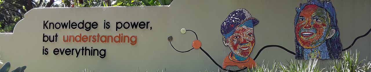 Johanesburg, the street graffiti: Knowledge is power but understanding is everything.