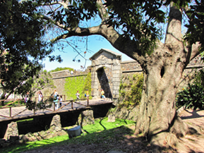 An image from our Colonia Uruguay album