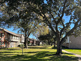 An image from the Victorian Village 1, Houston