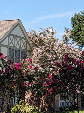 An image from the Victorian Village 1, Houston