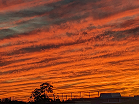 An image from the Victorian Village 1, Houston