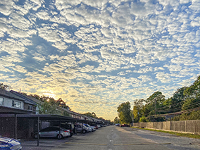 An image from the Victorian Village 1, Houston