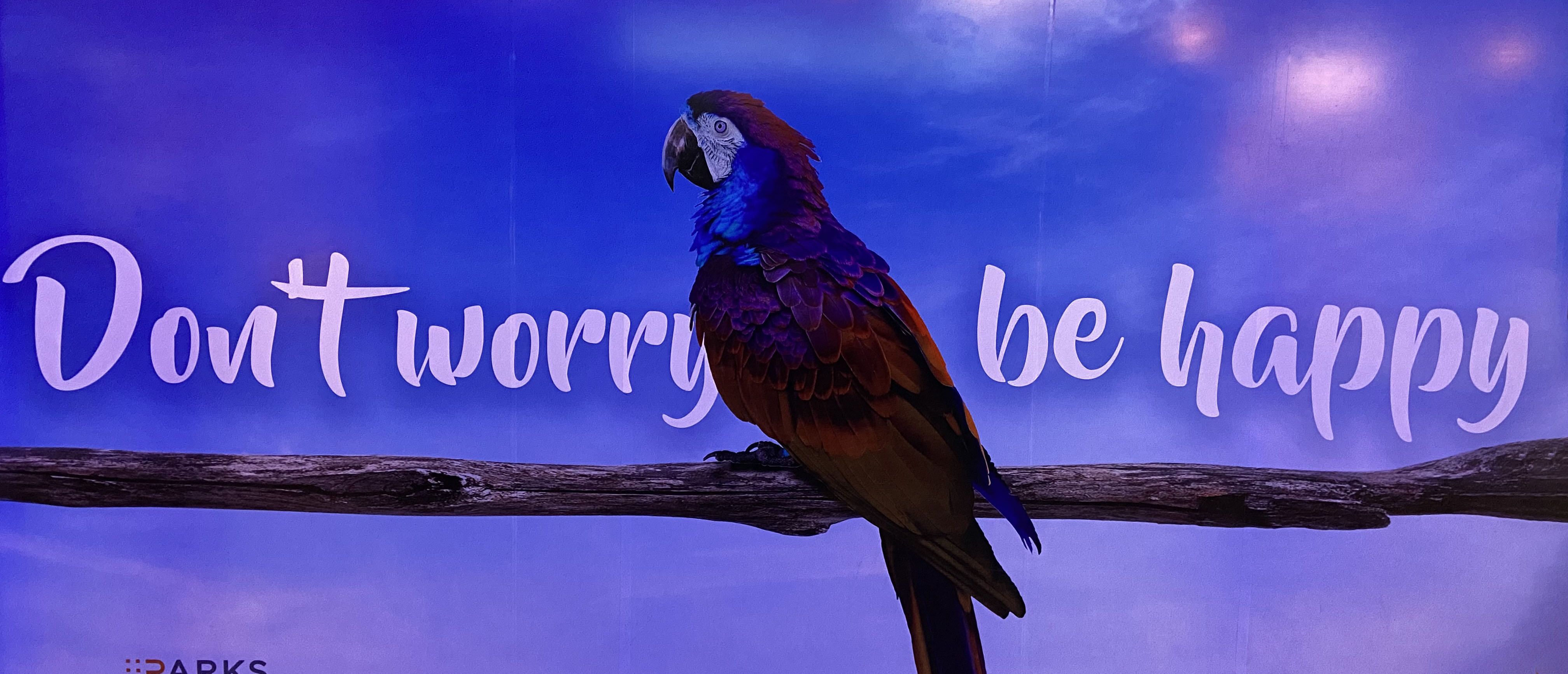 Image from the La Isla shopping village