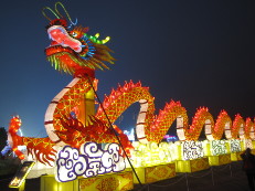Chinese dragon