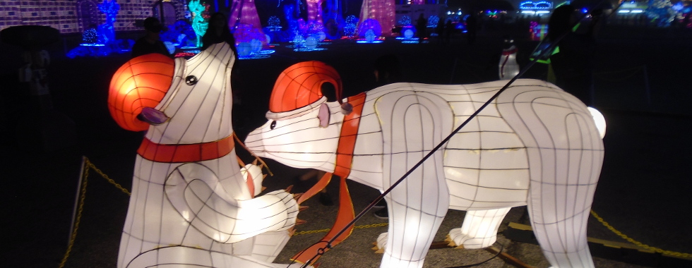 Houston magic lights