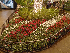 An image from the Grove, LA