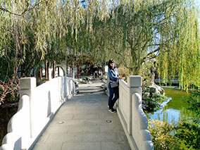 An image from Los Angeles street walk