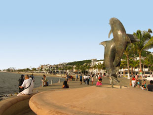 Images from Puerto Vallarta