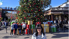 Image from Pier 39, San Francisco.