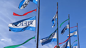 Image from Pier 39, San Francisco.