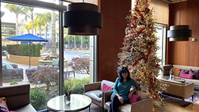 Image from the Four Seasons hotel Palo Alto